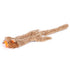 Plush Cute Squeaky Dog Toys
